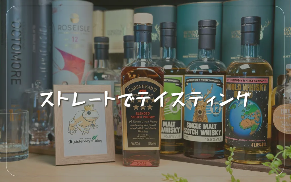 180年超の歴史と革新！ケイデンヘッド セブンスターズ徹底解説